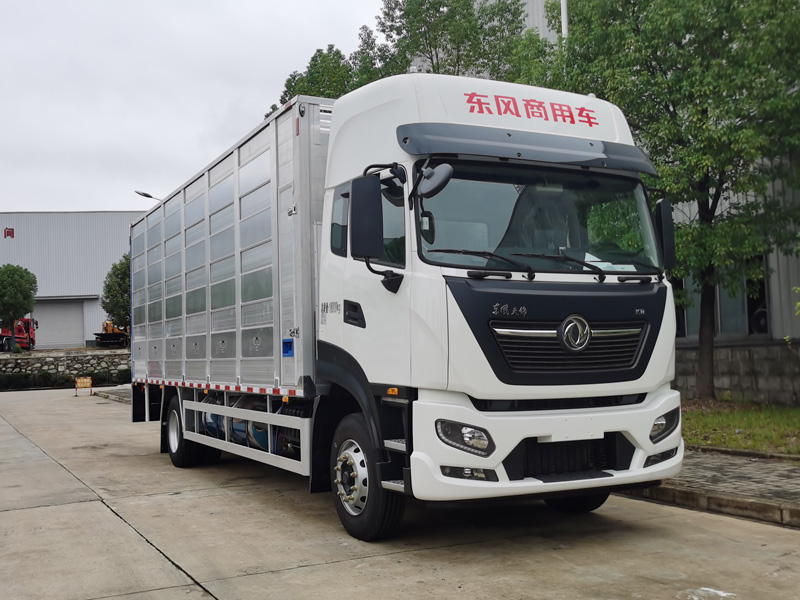 k8凯发体育app下载牌CSC5181XCQD6雛禽運輸車